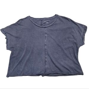 American Eagle Cropped Tee